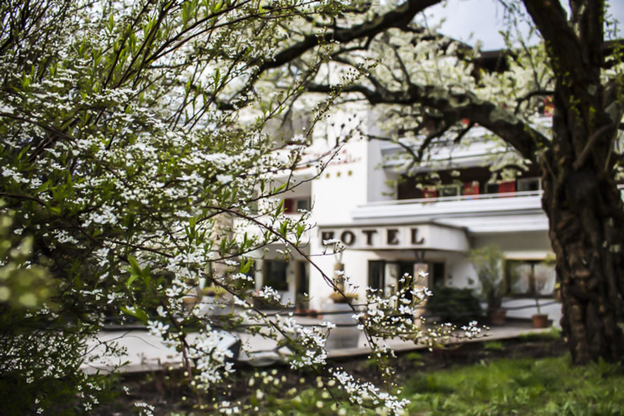 Prinz Rudolf Smart Hotel Merano Luaran gambar